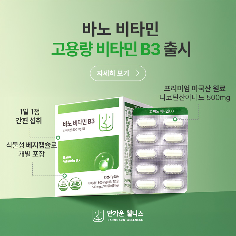 바노 비타 B3 출시 안내