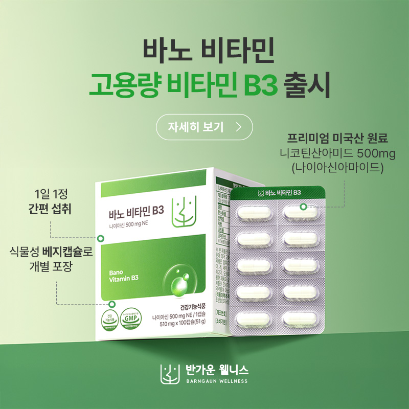 바노 비타 B3 출시 안내